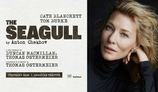 seagull